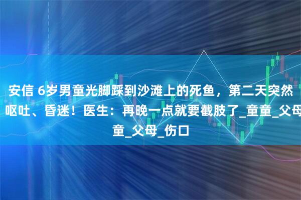 安信 6岁男童光脚踩到沙滩上的死鱼，第二天突然高烧、呕吐、昏迷！医生：再晚一点就要截肢了_童童_父母_伤口