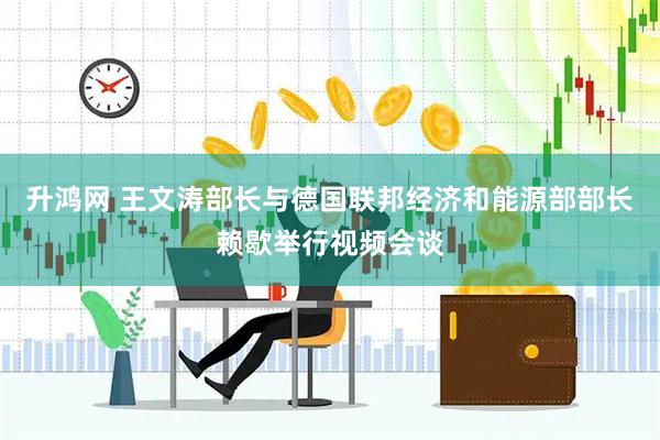 升鸿网 王文涛部长与德国联邦经济和能源部部长赖歇举行视频会谈