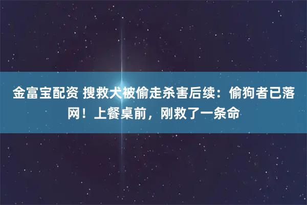 金富宝配资 搜救犬被偷走杀害后续：偷狗者已落网！上餐桌前，刚救了一条命