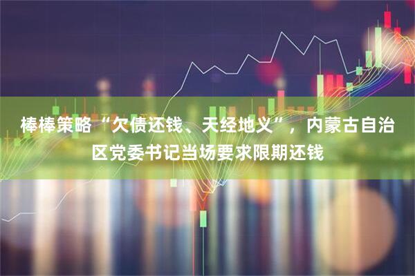 棒棒策略 “欠债还钱、天经地义”，内蒙古自治区党委书记当场要求限期还钱