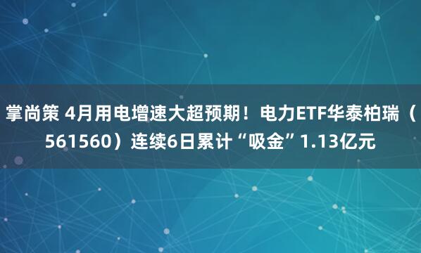 掌尚策 4月用电增速大超预期！电力ETF华泰柏瑞（561560）连续6日累计“吸金”1.13亿元